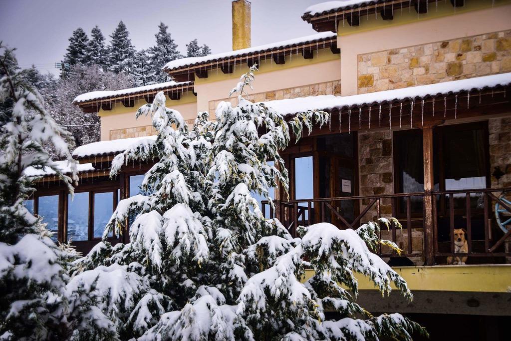 Aetoma Suites Синикия-Меси-Трикала Экстерьер фото